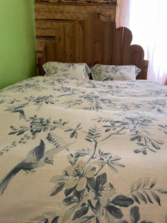 Stebuklas VNO Dış mekan fotoğraf